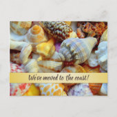 Zeeshells kust — Aankondiging nieuw adres Briefkaart (Voorkant)
