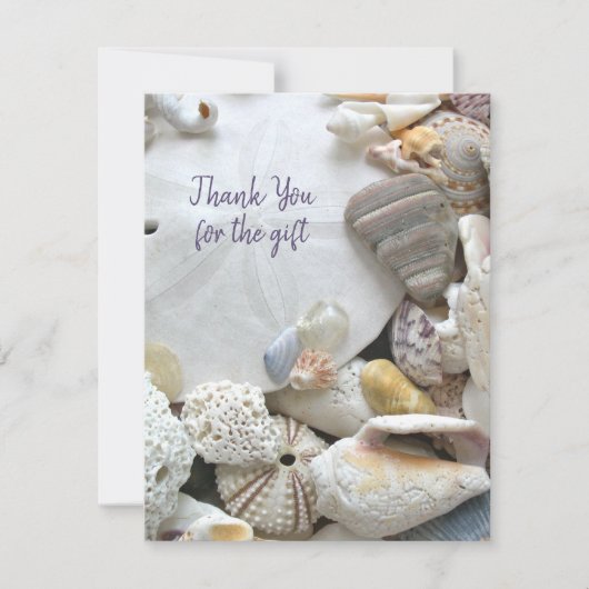 Zeeshells met zwarte dollaire vloer, alle kanten aankondiging (Voorkant)