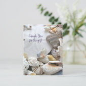 Zeeshells met zwarte dollaire vloer, alle kanten aankondiging (Staand voorkant)