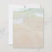 Zeeshells met zwarte dollaire vloer, alle kanten aankondiging (Achterkant)