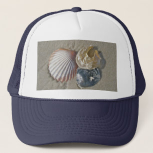 Zeeshells op de Coördinerende Punten van de Beach Trucker Pet