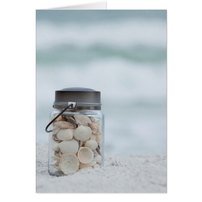 Zeeshells op de strand | Florida (Voorkant)