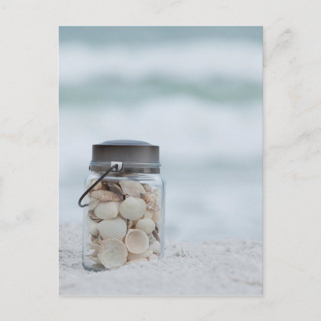 Zeeshells op de strand | Florida Briefkaart (Voorkant)