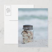 Zeeshells op de strand | Florida Briefkaart (Voorkant / Achterkant)