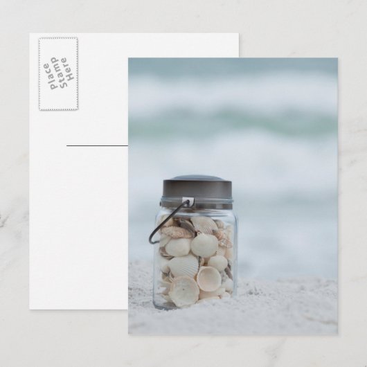 Zeeshells op de strand | Florida Briefkaart (Voorkant / Achterkant)
