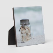 Zeeshells op de strand | Florida Fotoplaat (Voorkant)