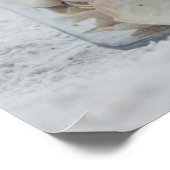 Zeeshells op de strand | Florida Poster (Hoek)