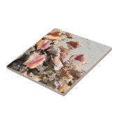 Zeeshells op de strand | Foto van Turks- en Caicos Tegeltje (Zijkant)