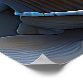 Zeeshells op de strand poster (Hoek)