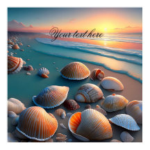 Zeeshells op de strand