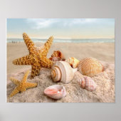 Zeeshells op een Poster met een witte zandstrand (Voorkant)