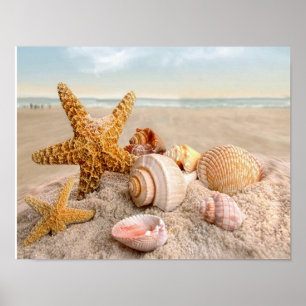 Zeeshells op een Poster met een witte zandstrand