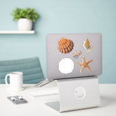 Zeeshells Sand Dollar Junonia Lions Paw Sticker (Laptop op bureau)