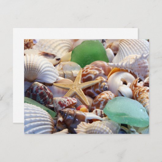 Zeeshells Starfish and Beach Glass Briefkaart (Voorkant / Achterkant)