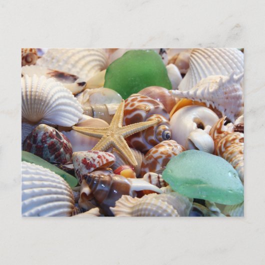 Zeeshells Starfish and Beach Glass Briefkaart (Voorkant)