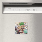Zeeshells Starfish & Beach Glass Magnet (Insitu (Vaatwasser))