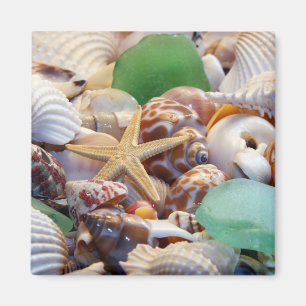 Zeeshells Starfish & Beach Glass Magnet