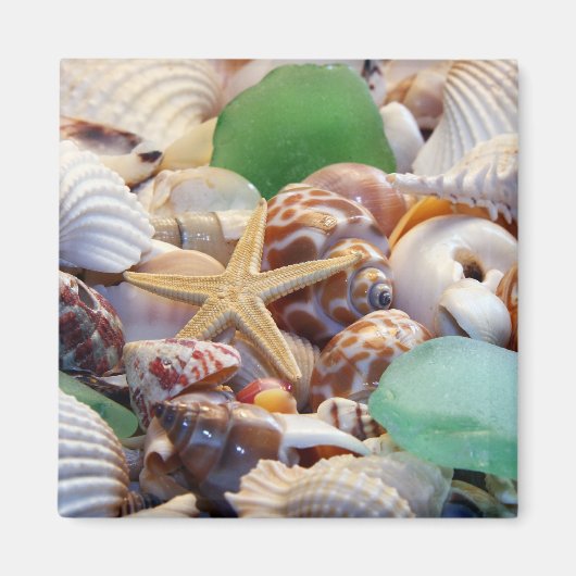 Zeeshells Starfish & Beach Glass Magnet (Voorkant)