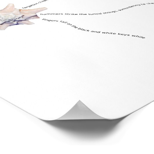 Zeesjell kuststroop pianogeem poster (Hoek)