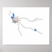 Zeesjell kuststroop pianogeem poster (Voorkant)