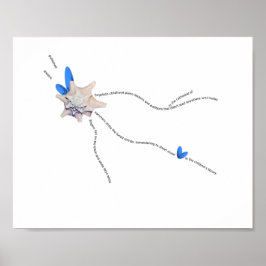 Zeesjell kuststroop pianogeem poster