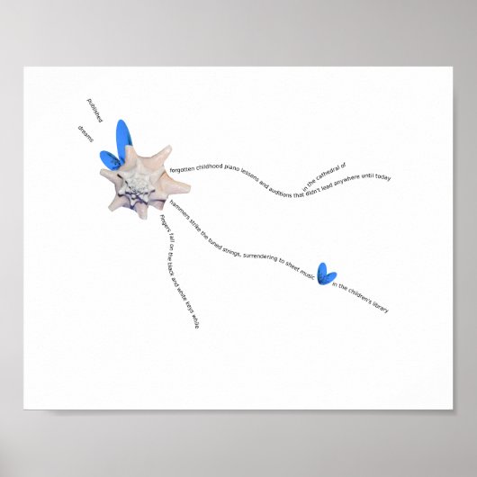 Zeesjell kuststroop pianogeem poster (Voorkant)