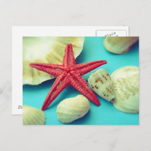 zeeslafdruk briefkaart (Voorkant / Achterkant)