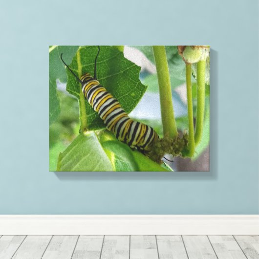 Zeeslagdoek Canvas Afdruk (Insitu (Houten vloer))