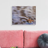 Zeeslagers in Surf Stretched Canvas Print (Insitu (Woonkamer))