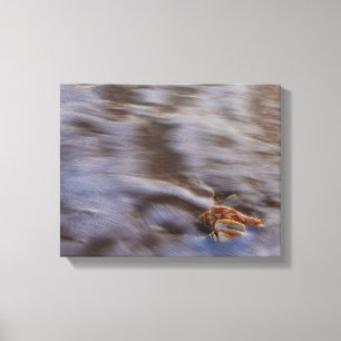 Zeeslagers in Surf Stretched Canvas Print