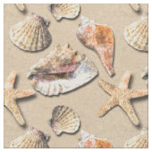 Zeeslagers op strand zand stof (Close Up)