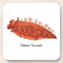 Zeeslak Gladde Succotash (6) Plastic