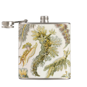 Zeeslakken door Ernst Haeckel, Antieke Nudibranchi Heupfles