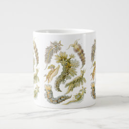Zeeslakken door Ernst Haeckel, Vintage Nudibranchi Grote Koffiekop