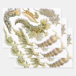 Zeeslakken door Ernst Haeckel, Vintage Nudibranchi Inpakpapier Vel