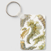 Zeeslakken door Ernst Haeckel, Vintage Nudibranchi Sleutelhanger (Voorkant)