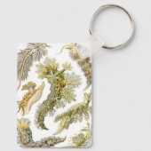 Zeeslakken door Ernst Haeckel, Vintage Nudibranchi Sleutelhanger (Achterkant)