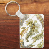Zeeslakken door Ernst Haeckel, Vintage Nudibranchi Sleutelhanger (Voorkant)