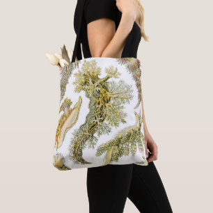 Zeeslakken, Slakken door Ernst Haeckel, Dier uit v Tote Bag