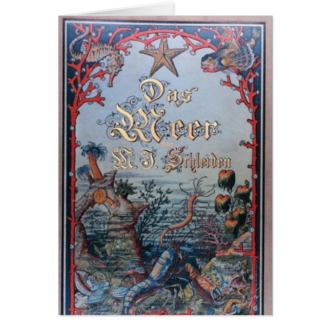   zeesleepbok Victoriaans boekomslag (Voorkant)