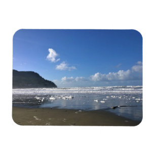 Zeesoever in de winter, kust van Oregon Magneet