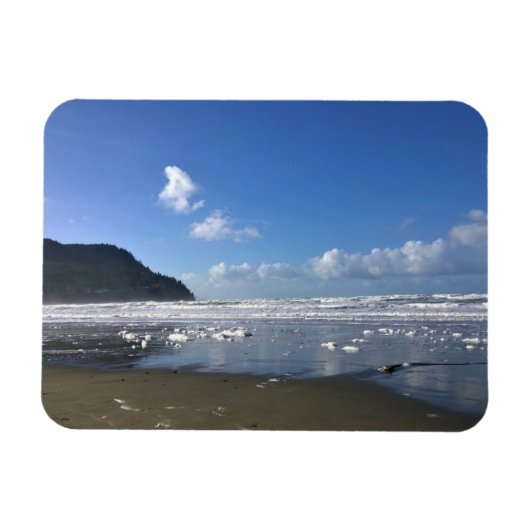 Zeesoever in de winter, kust van Oregon Magneet (Horizontaal)