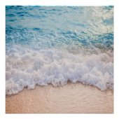 Zeesoorten Perfect Poster (Voorkant)