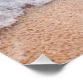 Zeesoorten Perfect Poster (Hoek)