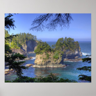 Zeestacks, Makah Nation stamlanden, Kaap Poster
