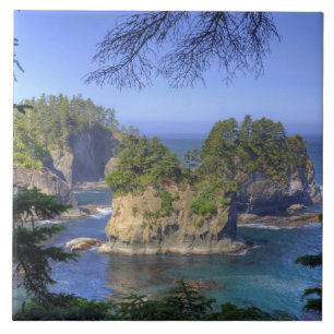 Zeestacks, Makah Nation Stamlanden, Kaap Tegeltje