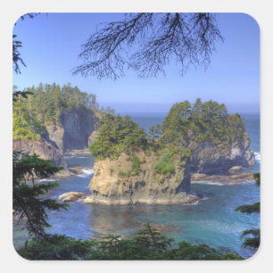 Zeestapels, Makah Nation Tribale Gronden, Kaap Vierkante Sticker