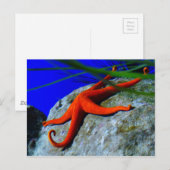zeester-452926-HARDE RODE STARFISH FOTOGRAFIE Briefkaart (Voorkant / Achterkant)