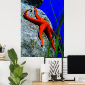 zeester-452926-HARDE RODE STARFISH FOTOGRAFIE Poster (Thuiskantoor)