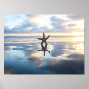 Zeester bij het strand foto poster print